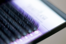 Premium Plus Volume Lashes (2D-6D)